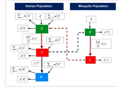 Figure 1. Flow chart of the model.