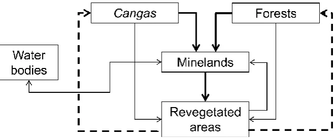 Figure 3. Land-use classes detected in the N4-N5 mining complex and possible transitions among them
