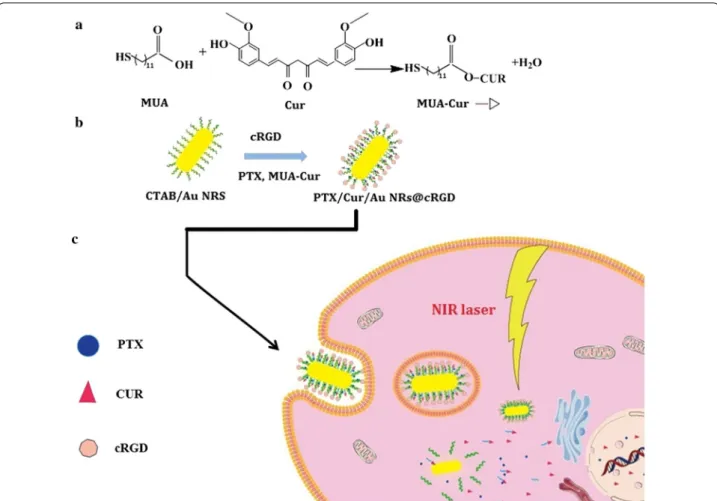 Fig. 1  Schematic illustration of PTX/CUR/Au NRs@cRGD as novel various stimuli-responsive theranostic nanoplatforms for cancer treatment