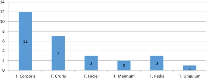 Figure 3 Diabetic foot ulcers 