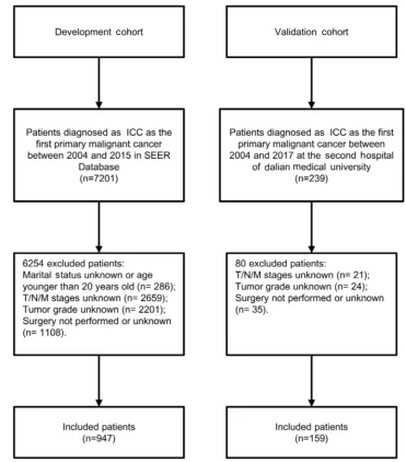 Figure 1 The ﬂowchart of the study cohort.