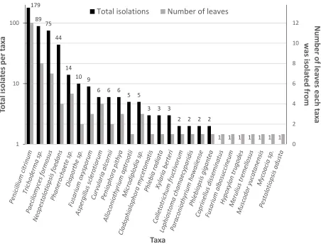 Figure 2. Summary of identified fungal endophytes that transferred from host leaves into a woody substrate