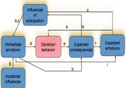 Figure. 2. Influence of emotions in decision-making according to Lowenstein and Lerner [20]