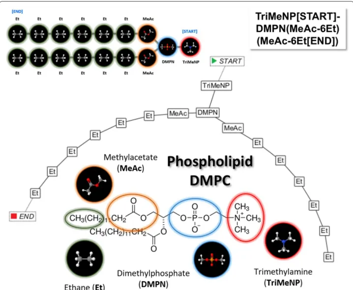 Fig. 2  Decomposition of the DMPC phospholipid into “molecular fragment” particles [ 20 ] and illustration of the resulting bonded particles (upper  left) with corresponding SPICES line notation (upper right): The SpicesViewer GUI generated visual particle