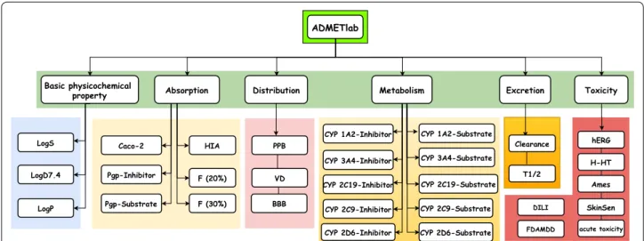 Fig. 1  An overview of ADMET properties that can be evaluated by ADMETlab