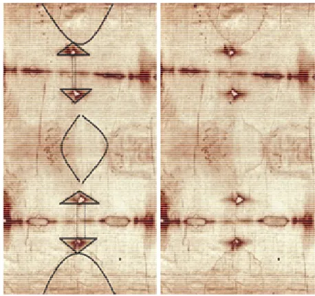 Figure 10. The hexagon geometry generates spatial substrate of triangular chiral mirror image organization in the shroud