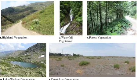 Figure 2. Images of different habitat types used in the survey study 