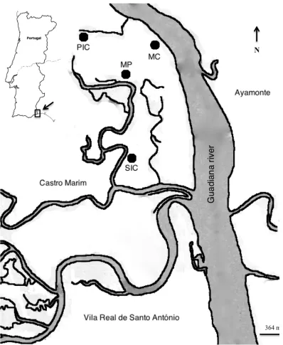 Figure 5. Geographical context of the Natural Reserve of Castro Marim and Vila Real de Santo António in Portugal and sampling sites localization in the Natural Reserve salt marsh area