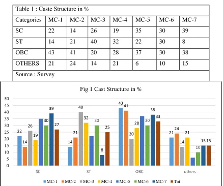 Table 1 : Caste Structure in % 
