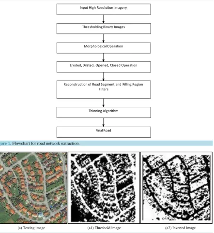 Figure 1. Flowchart for road network extraction.                                                                 