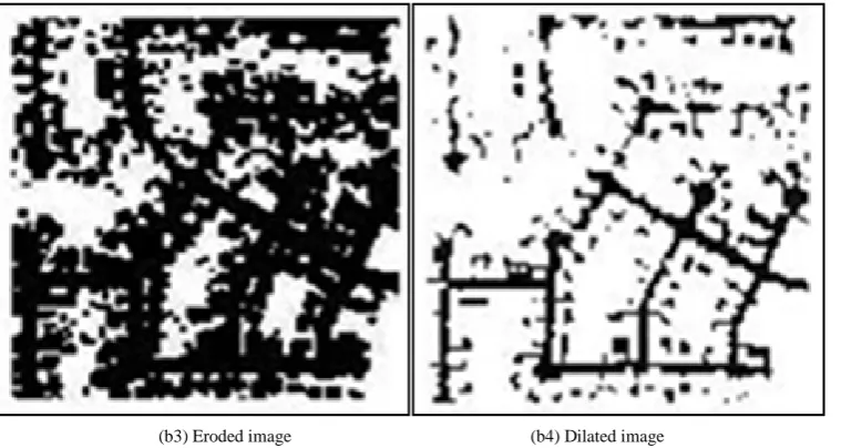 Figure 4. QuickBird result by morphological operation.                                                                 
