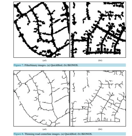 Figure 7. Filterbinary images. (a) QuickBird; (b) IKONOS.                                              