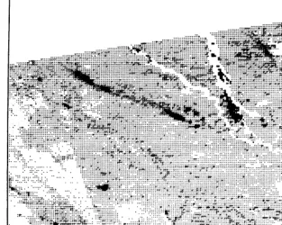 Fig. 7. Biomass classification map for the Pawnee Test Site-July 10, 1973. Biomass classes from black to white are: >3,000 lb/acre, 2,000 to 1,000 to 1,500 lb/acre, 500 to 1,000 lb/acre, 100 3,000 lb/acre, 1,500 to 2,000 lb/acre, to 500 lb/acre, 0 to 100 l