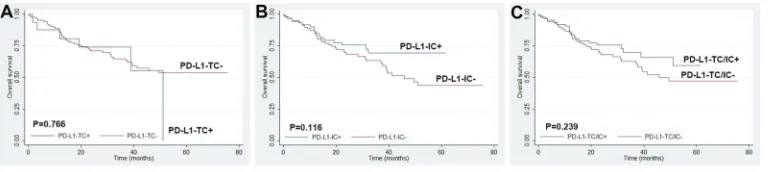 Figure 6 Kaplan-Meier plots of overall survival for PD-L1 expression in (A) tumor cells (TC), (B) immune cells (IC), and (C) tumor cells and/or immune cells.