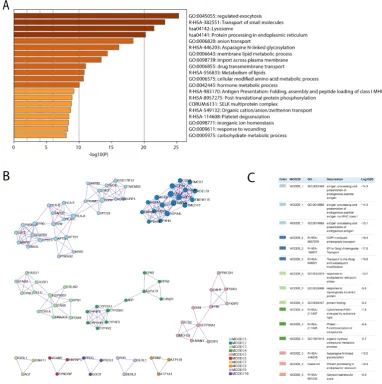 Figure 5: Biological processes and network components associated with ACE2 expression.(A) The top 20 clusters enriched in ACE2 positive cells.(B) MCODE componentsidentified in protein-protein interaction network derived from the top genes significantlyupre