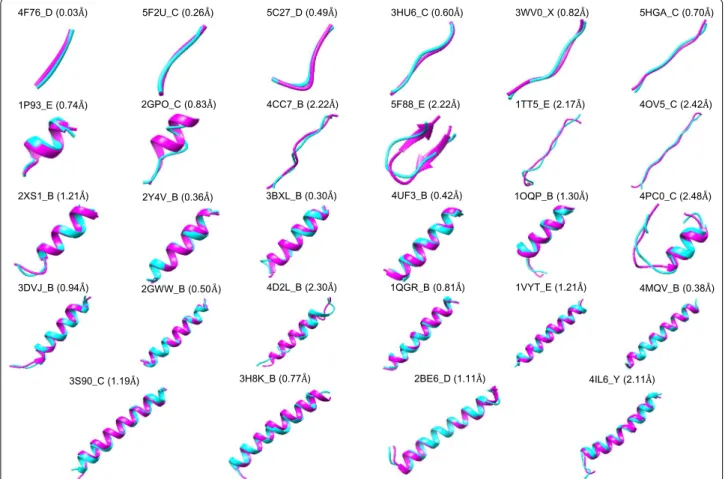 Fig. 5  Examples of the predicted models for peptides with 3–30 amino acids, where each peptide is represented by its PDB code_chain ID