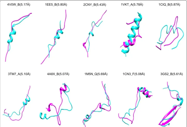 Figure  4  shows the average accuracy of our MOD- MOD-PEP in reproducing experimentally determined  confor-mation as a function of ensemble size