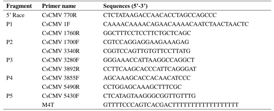 Table 1 Primers used for CsCMV-LG amplification in this study.  