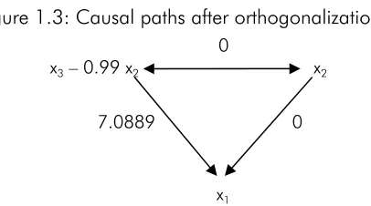 Figure 1.3: Causal paths after orthogonalization 