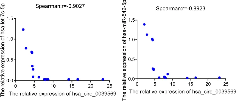 Figure 8 The result of spearman correlation test between hsa_circ_003956 and hsa-miR-542-3p/hsa-let-7c-5p in the grade 3 EC.