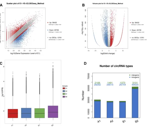 Figure 1 Bioinformatics analysis of differentially expressed circRNAs in patients with the grade 3 EC and adjacent non-cancerous endometrial tissue.Notes: (A) Scatter plot shows the variation of circRNA between the adjacent non-cancerous endometrial (Y-axi