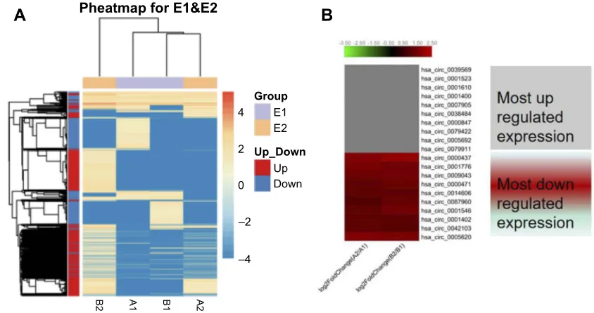 Figure 2 The distribution of differentially expressed circRNAs in human chromosomes (A1, A2, B1, and B2).