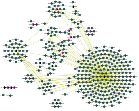 Figure 4 circRNAs-miRNAs network diagram.Notes: The red and black nodes represent circRNA, while the blue nodes represent target miRNAs