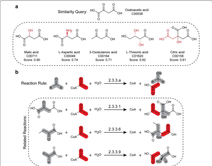 Fig. 3  a Chemical similarity can be quantified by comparing common structural features