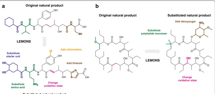 Fig. 2  Examples of original and modified structures generated by LEMONS. a A linear hybrid nonribosomal peptide/polyketide natural product 