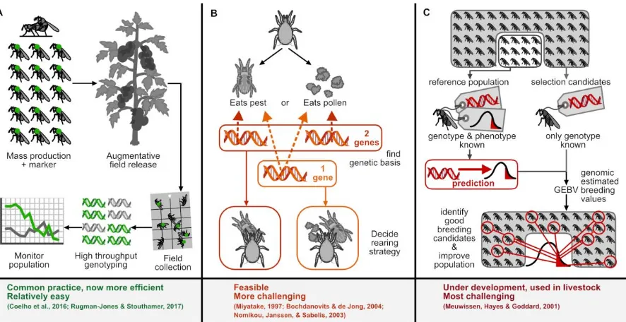 Figure 4. Examples of the application of genetic techniques in biocontrol, in increasing order of 