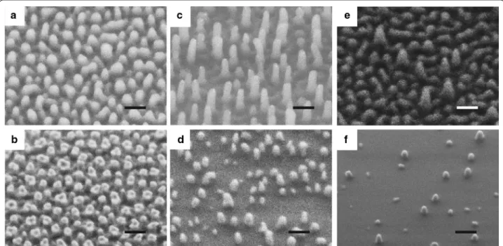 Fig. 1  SEM images of nanostructured Ormostamp surfaces S(a)–S(f ) (scale bar: 200 nm)