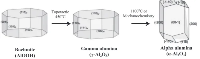 Fig. 12. Crystal morphologies for Boehmite, γ-Al2O3 and α-Al2O3.