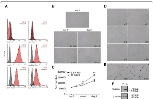 Fig. 1 Characterization, proliferation and differentiation of ASCs. a – Characterization of ASCs via FACS analysis