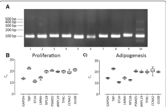 Fig. 2 Primer specificity and average raw cycle thresholds. a – The amplification specificity of all candidate reference gene primer sets