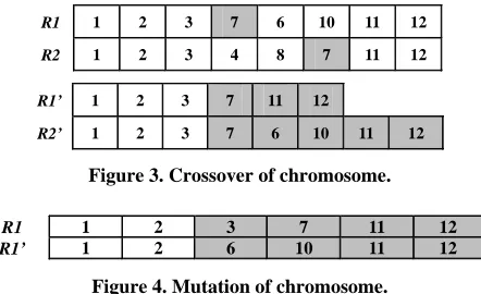 Figure 3. Crossover of chromosome. 