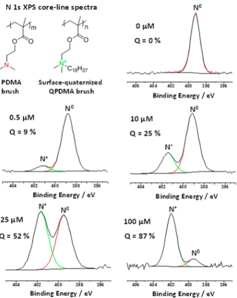 Figure 2. N 1s spectra obtained for PDMA brushes (dry brushthickness = 30−40 nm) on varying the concentration of 1-iodooctadecane in n-hexane at 20 °C to achieve partial surfacequaternization.
