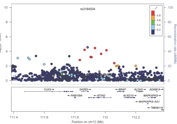 Figure 3. Forest plot showing association between cancer risk and rs12970291 genotype in each data set