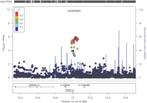 Figure 4. Regional association plot for region around rs12970291. Legend is as for Fig. 2, except as follows
