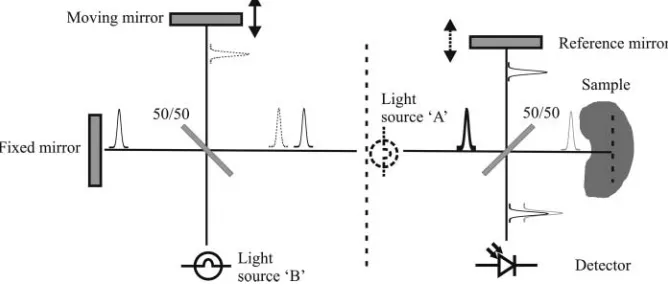 Figure 1. Schematic diagram showing the relationship between FTIR spectroscopy and OCT