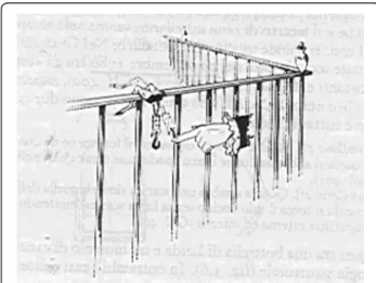 Fig. 1 Luigi Galvani observed that the spasms of frog ’s muscles occurred when he hooked the frog onto a metal railing (from http://ppp.unipv.it/Volta/Pages/ePage1.html)