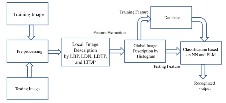 Figure 2. Block diagram of FKP recognition process.                                                            