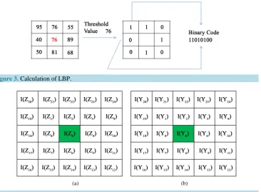 Figure 4. (a) Sample image; (b) First order derivatives.                                         