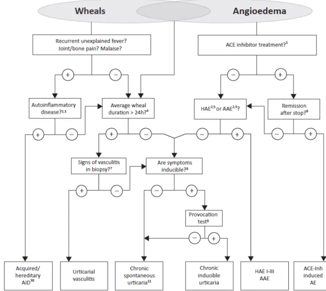 Figure 3 Recommended diagnosis algorithm for patients presenting with wheals, angioedema, or both [5]