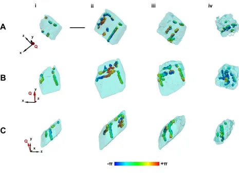 Figure 5 | Iso-surface rendering of defect network within a calcite crystal. a�d, Iso-surface renderings of dislocations present within the crystal imaged before (a) and after (b) growth, and after dissolution (c,d)