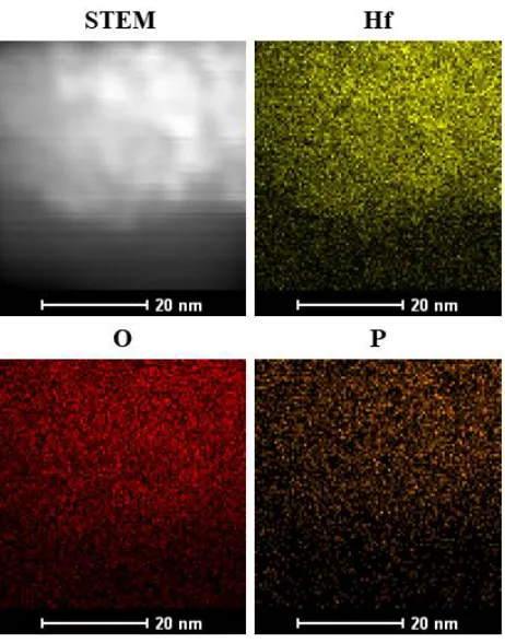 Fig. 2 TEM images and particle size distribution of (A) PPOA-Hf-1:1.5 and (B) HfO2 