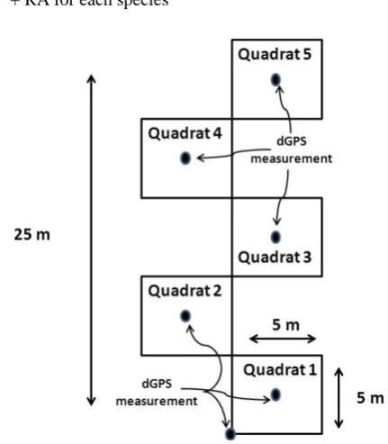 Fig 1. A schematic illustration for the vegetation survey method. Results 