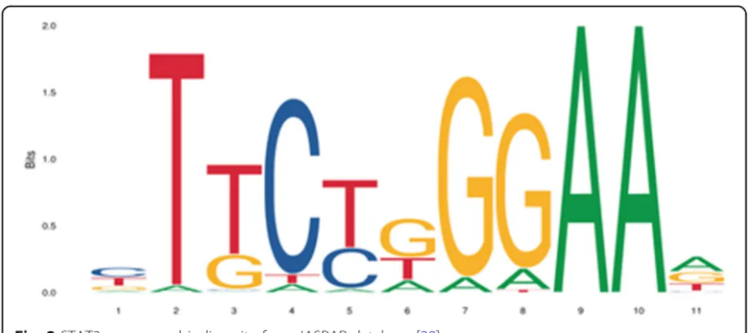 Fig. 2 STAT3 consensus binding site from JASPAR database [ 29 ]