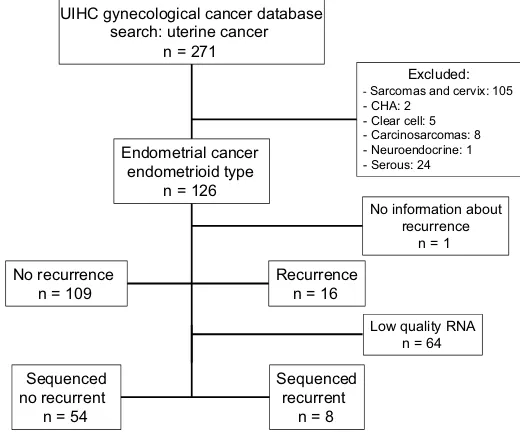 Figure 1 Flow chart of patients included in the UIHC endometrial cancer study cohort. There were 126 patients with endometrial cancer, endometrioid type