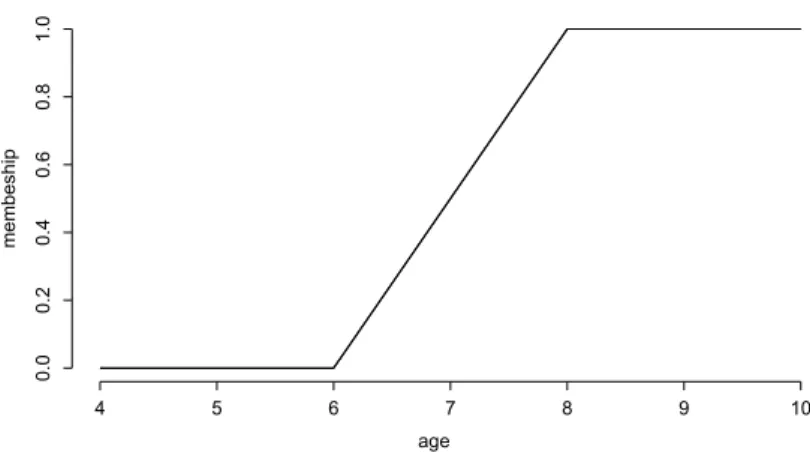 Figure 1.1: One possible formulization of a subjective perception of the fuzzy concept