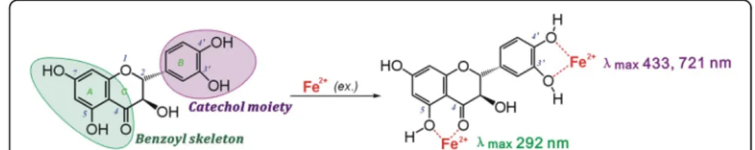 Figure S10. The UV-Vis spectra and solution colors for (+) taxifolin –Fe 2+ and catechol –Fe 2+ 